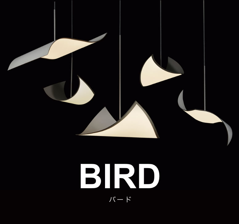 BIRD バード