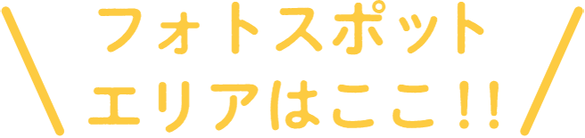 フォトスポットエリアはここ